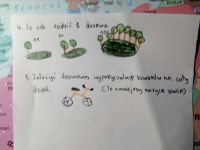 ZModrzejewska2
