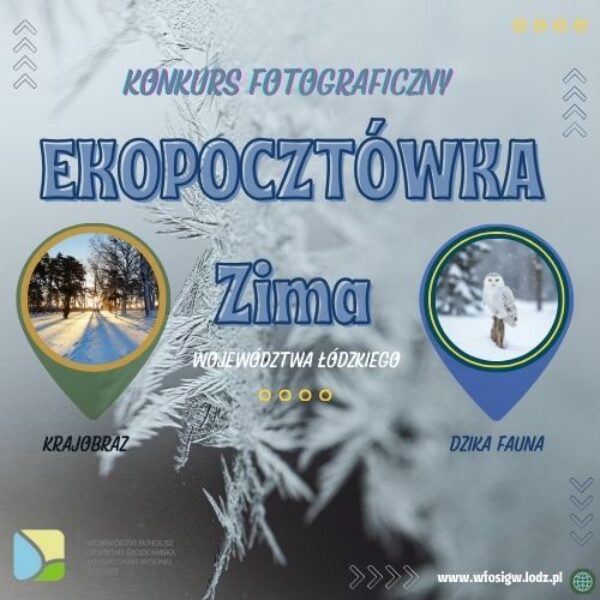 Zdjęcie prezentujące - EKOPOCZTÓWKA – edycja zimowa