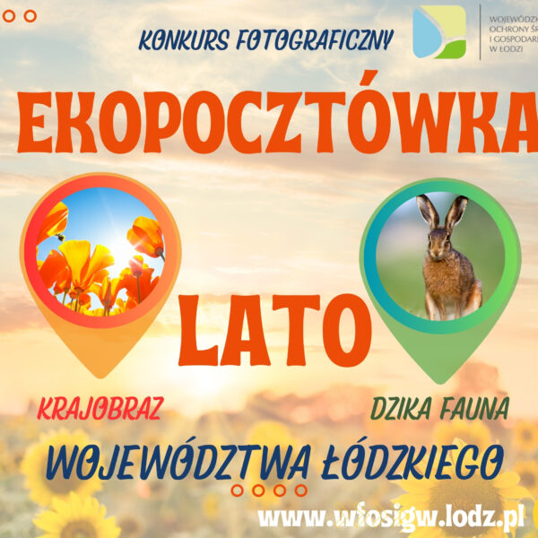 Zdjęcie prezentujące - EKOPOCZTÓWKA – edycja letnia!