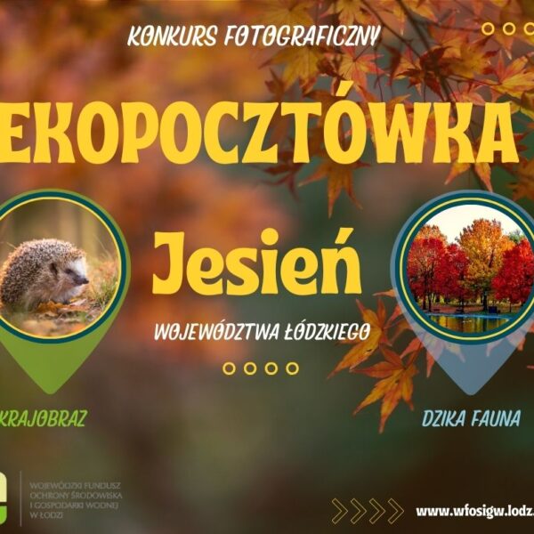 Zdjęcie prezentujące - EKOPOCZTÓWKA – edycja jesienna!