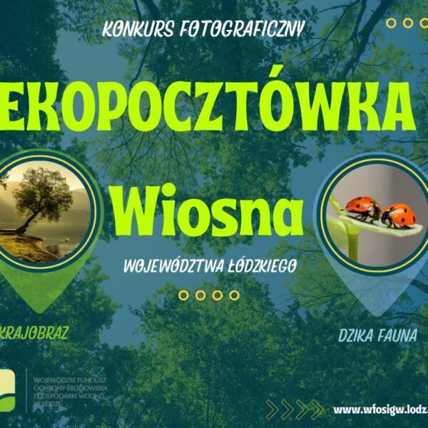 Zdjęcie prezentujące - Laureaci konkursu „EKO Pocztówka” – edycja wiosenna