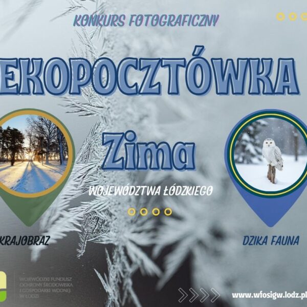 Zdjęcie prezentujące - Rozstrzygniecie konkursu „EKO Pocztówka” – edycja ZIMA 2025/2026