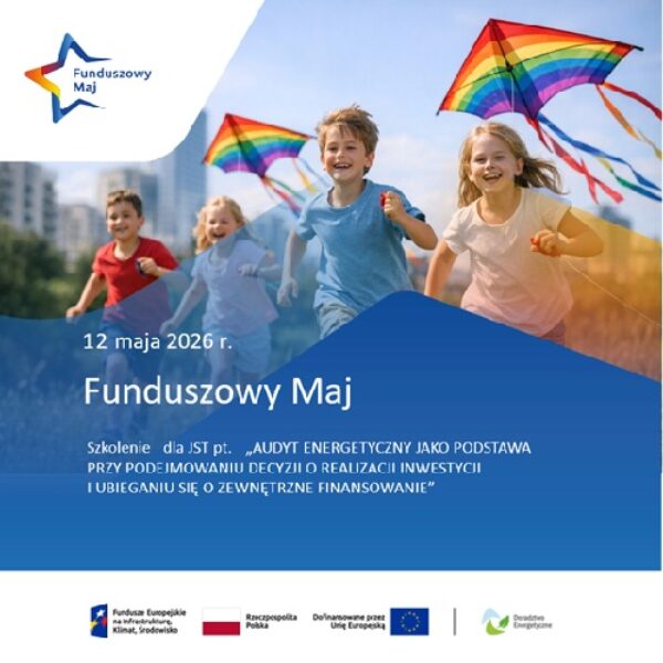 Zdjęcie prezentujące - Szkolenie dla JST pt. „Audyt energetyczny jako podstawa przy podejmowaniu decyzji o realizacji inwestycji i ubieganiu się o zewnętrzne finansowanie”