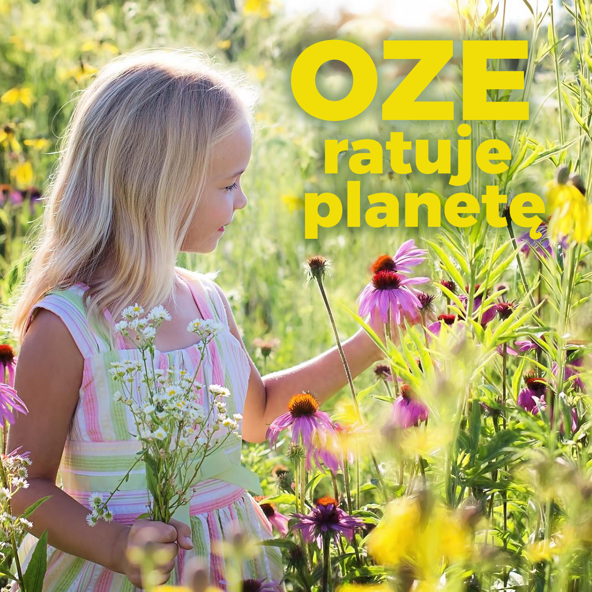 Rozstrzygnięcie konkursu „OZE ratuje planetę”!